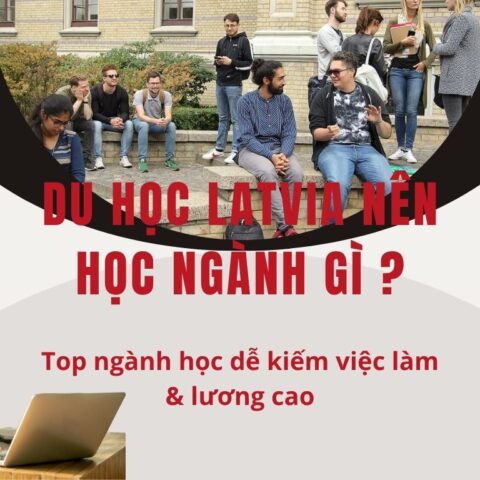 Du học Latvia nên học ngành gì